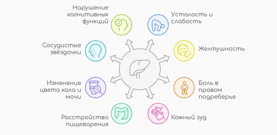 Симптомы заболеваний печени (инфографика)