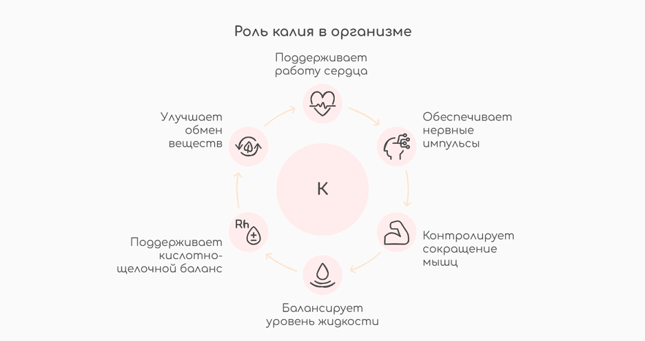 Роль калия в организме (инфографика)